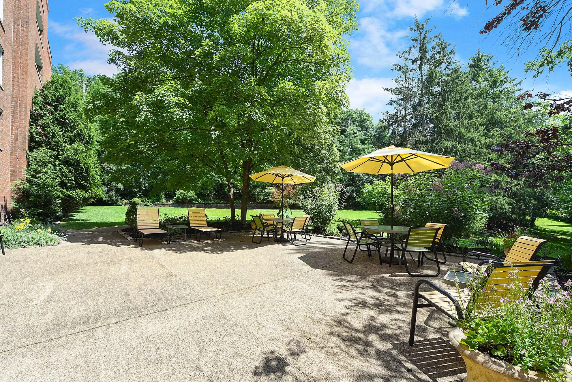 Outdoor area and grounds